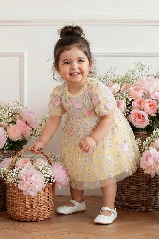 Cressida Embroidery Baby Dress