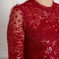 Aurora Ballerina Dress