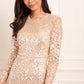 Aurora Gown
