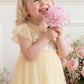 Confetti Bodice Baby Dress
