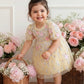 Cressida Embroidery Baby Dress