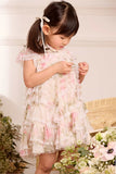 Rose Ruffle Lace Baby Dress