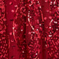 Sequin Ribbon Scoop Neck Ballerina Dress