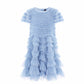 Wild Rose Ruffle Kids Dress